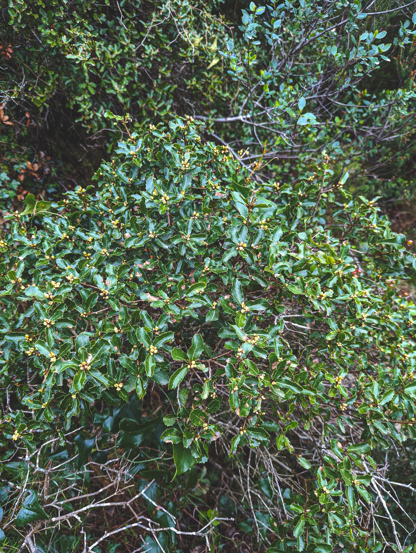 Local hiking Marxuquera